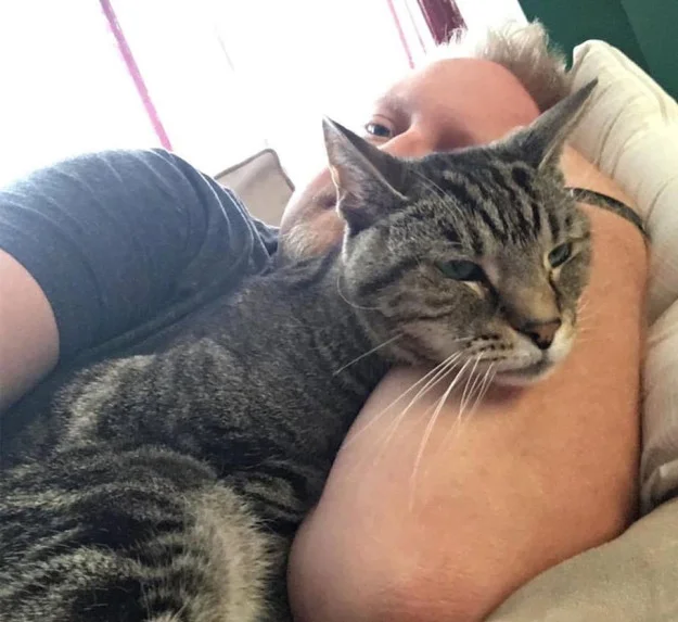 dan-moyle-personal-brand_06-joecat.jpg
