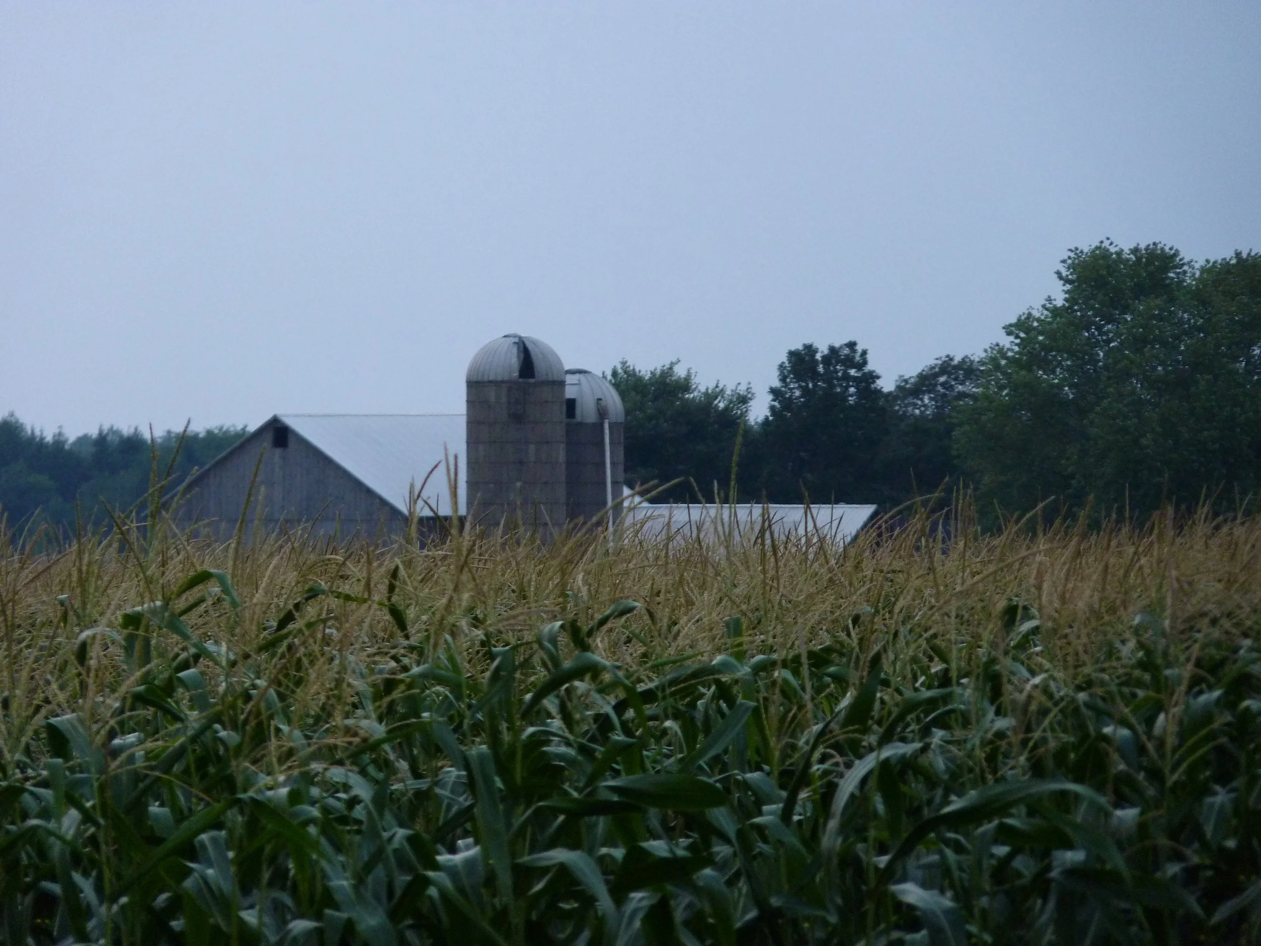 Corn Barn 