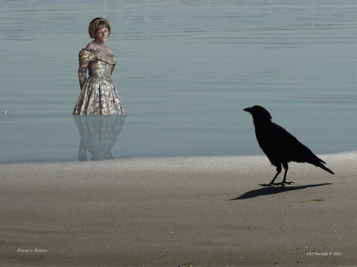 Diana's Raven 