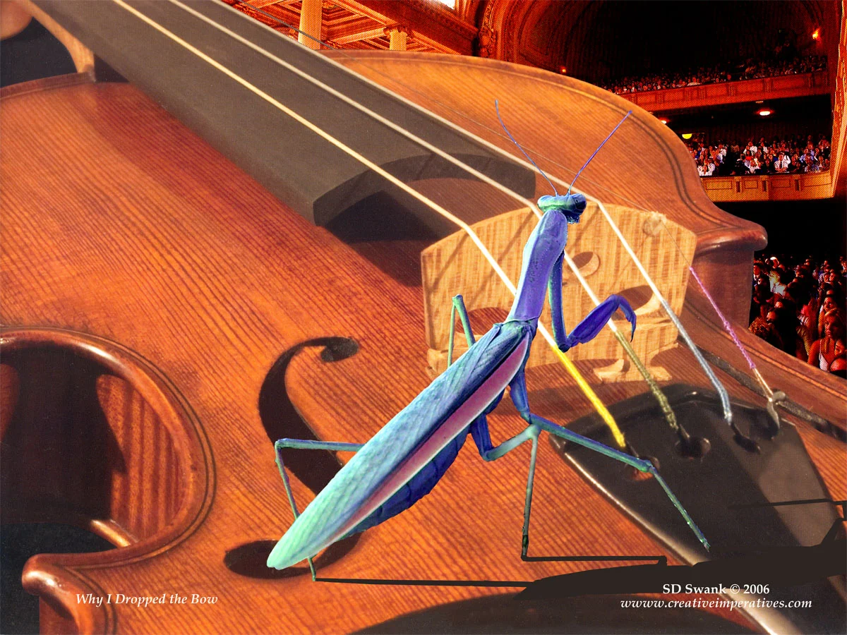 Why I Dropped the Bow 