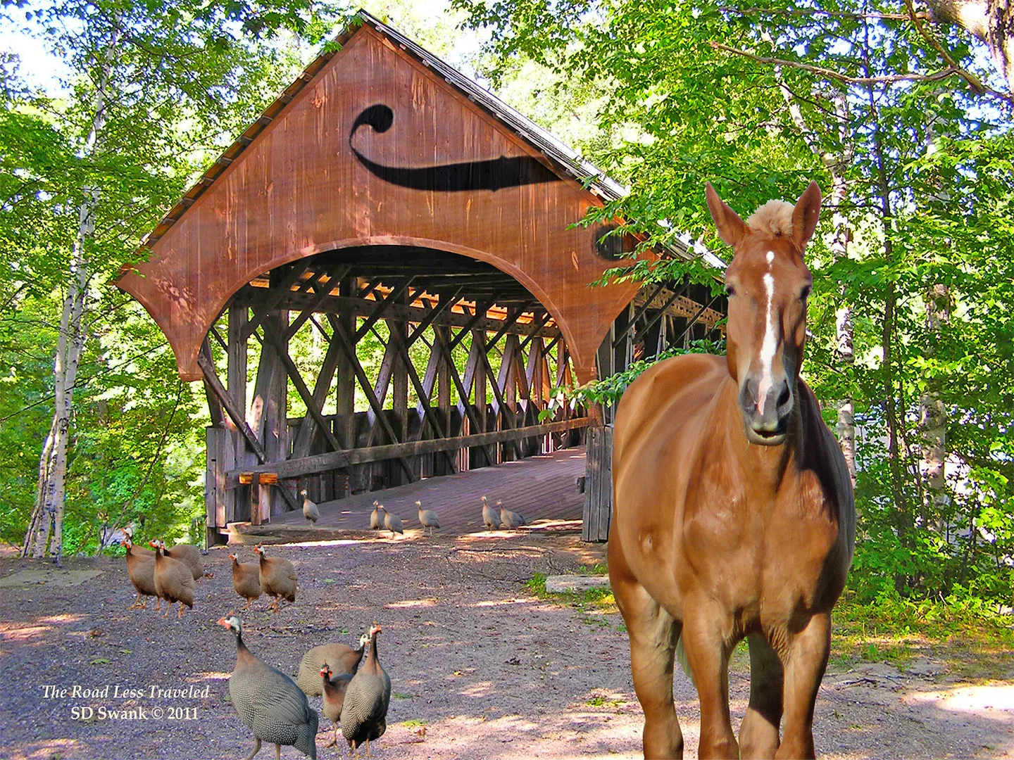 The Road Less Traveled 