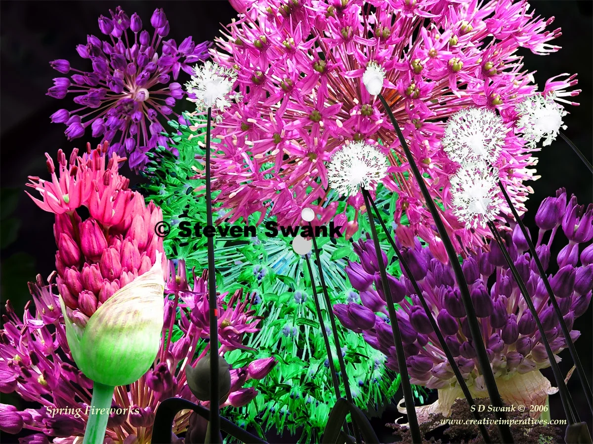 Spring Fireworks .jpg