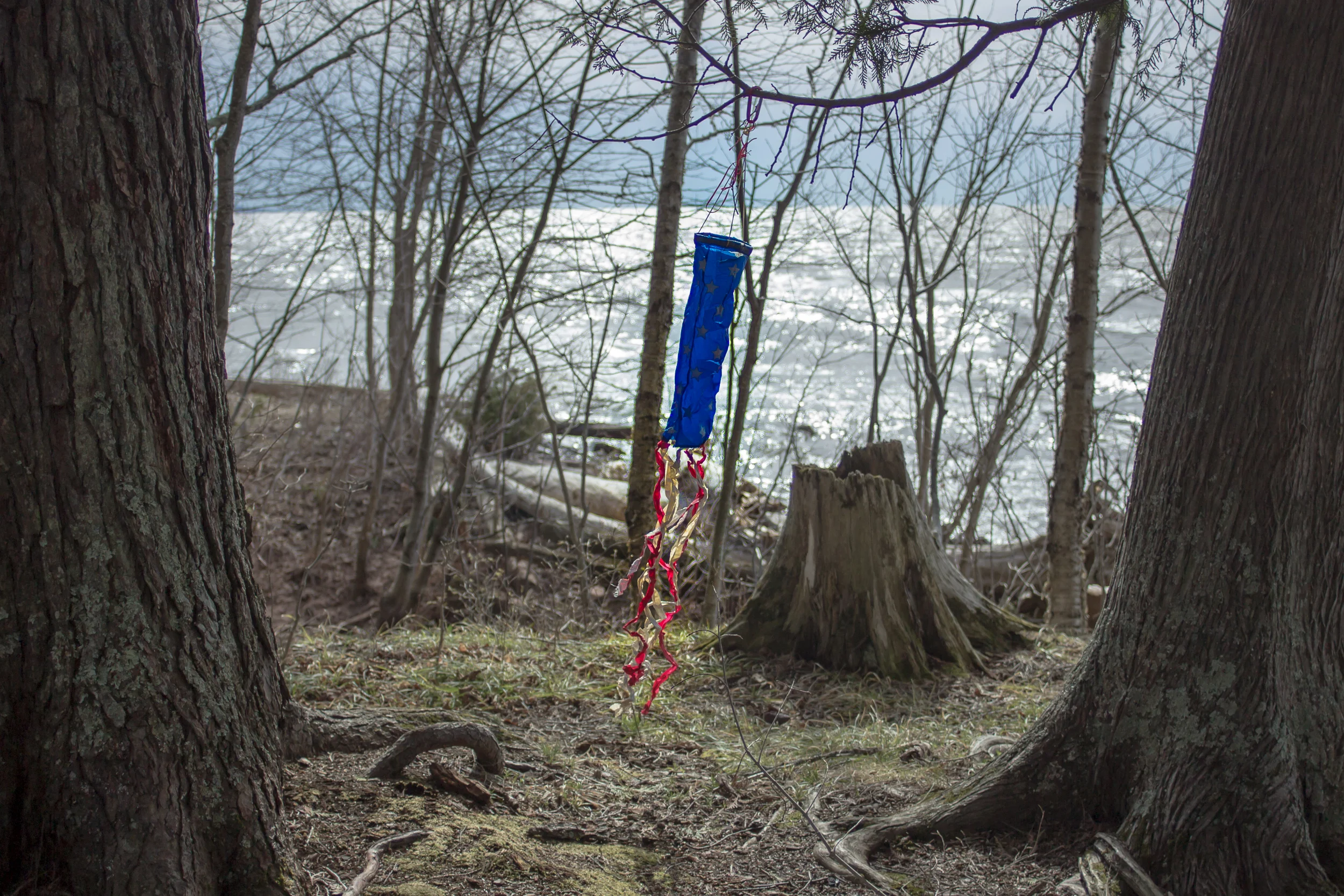 Porcupine Mts April16-2316.jpg
