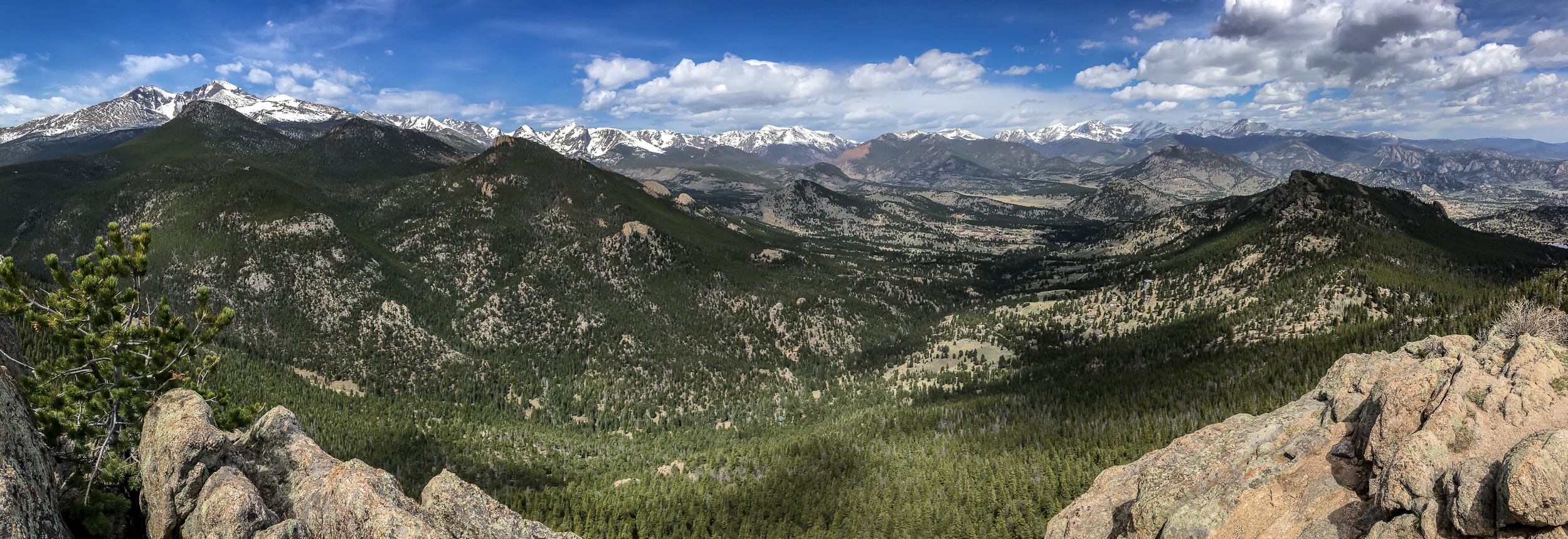 Blog 2018-04 Lily Mt-2232.jpg