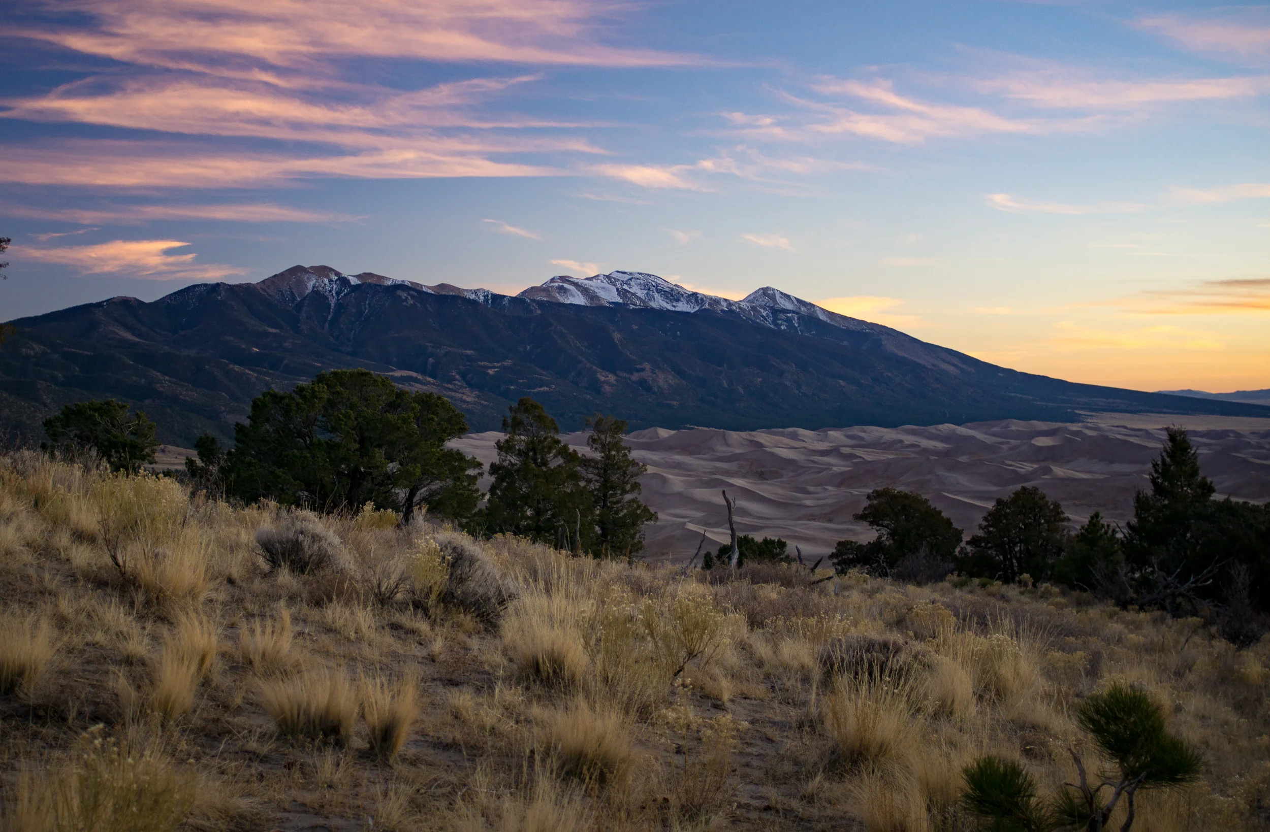 BLOG-2017-12-02 GSDNP-09815.jpg