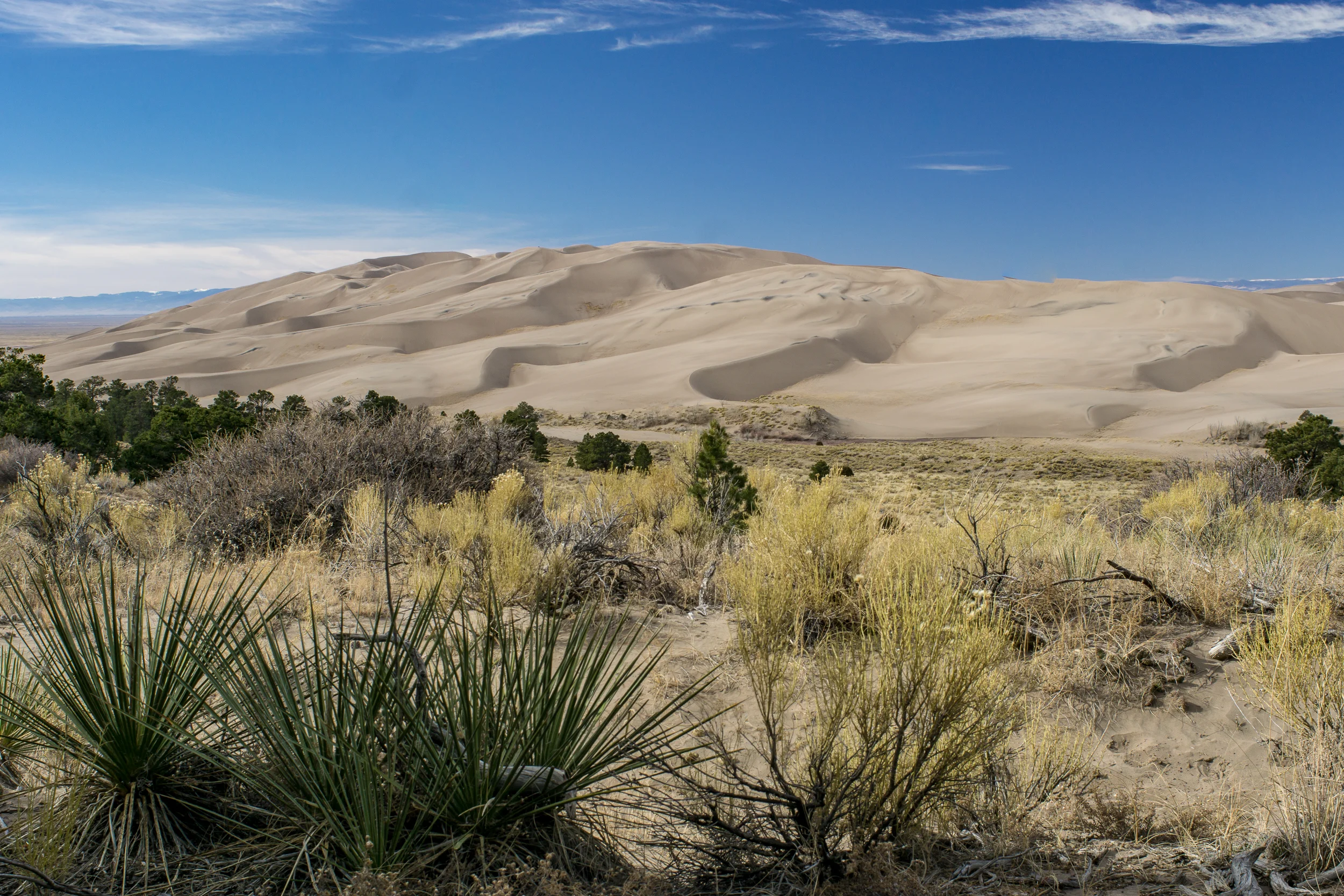 BLOG-2017-12-02 GSDNP-09843.jpg