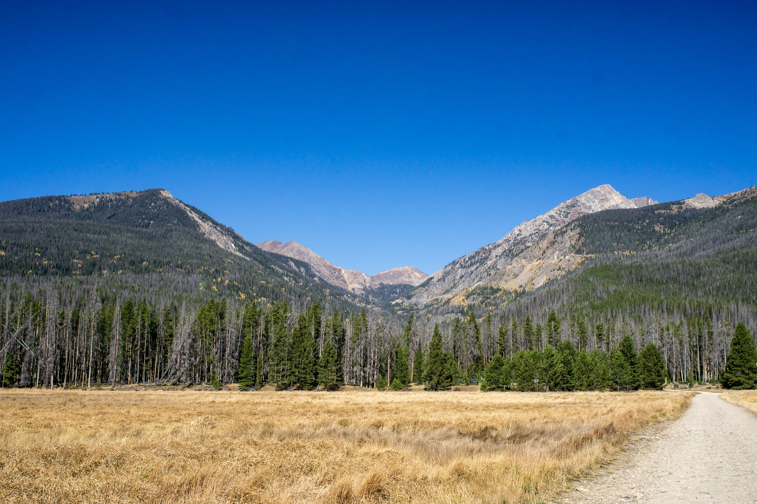 Never Summer Wilderness-01017.jpg
