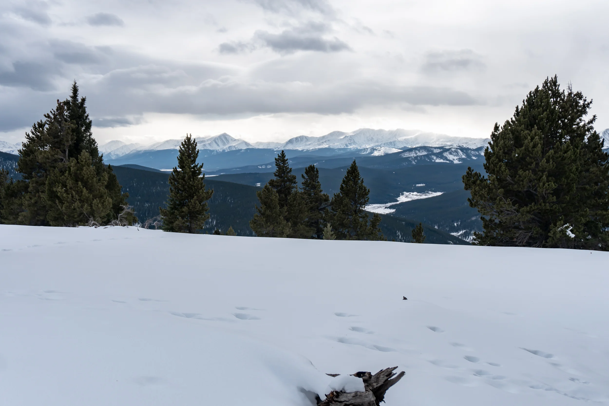 2018-11 Thanksgiving Hut-03624.jpg