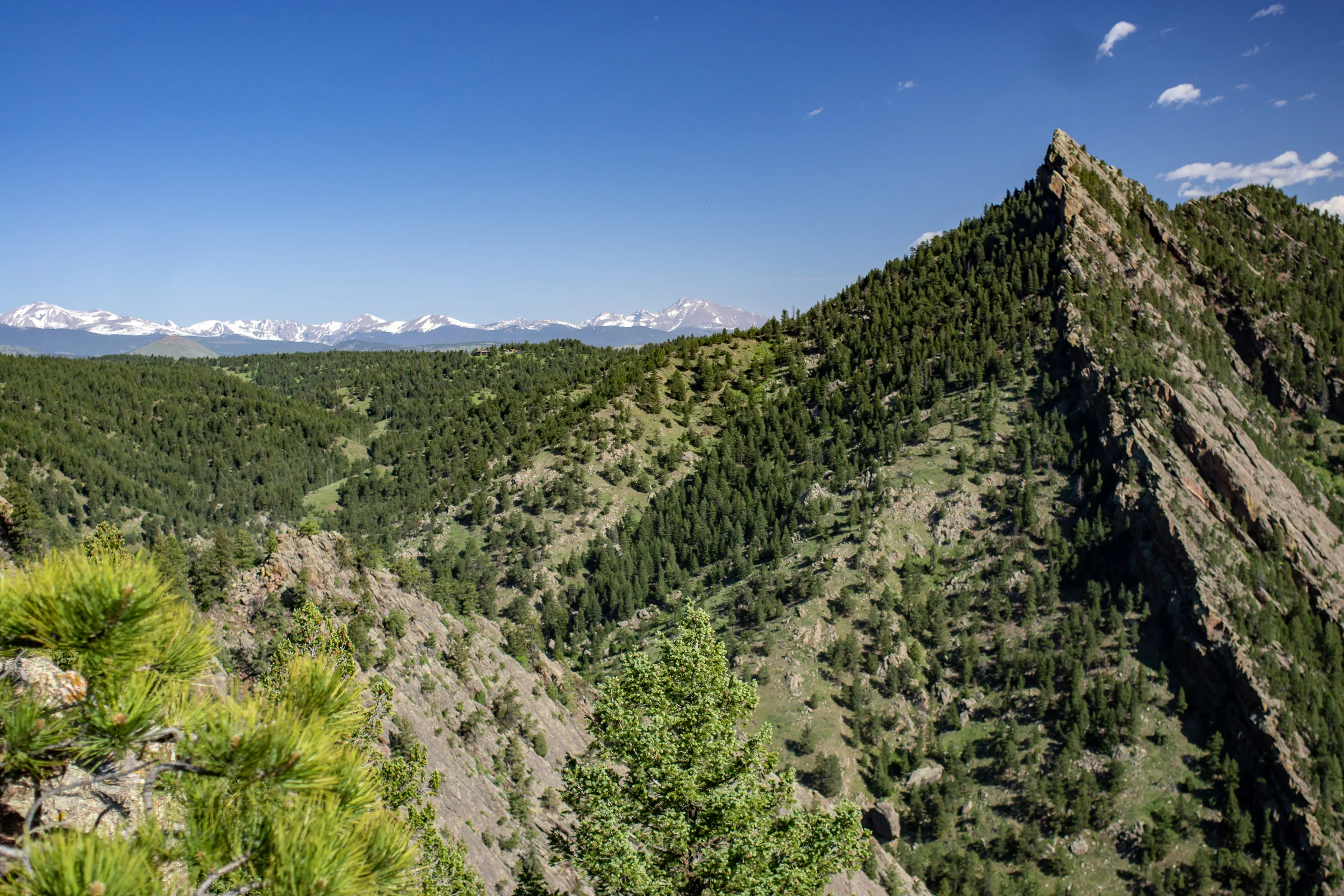 2018-05 Skyline-09999.jpg