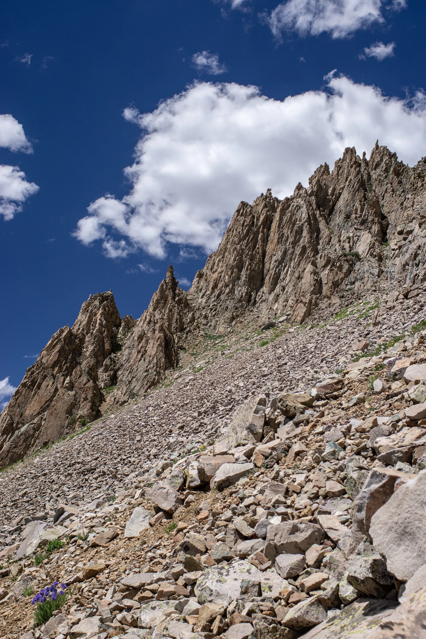 capitolcreekcircuit-00861.jpg