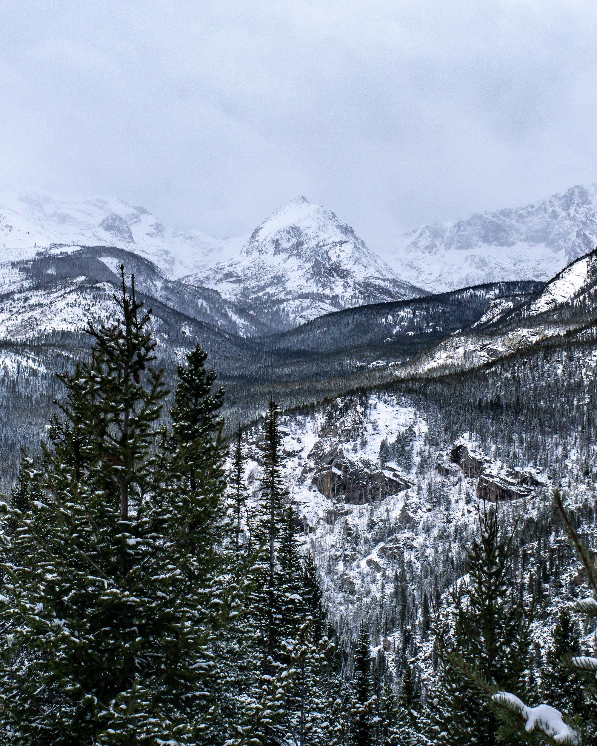 2018-Wild Basin Snowshoe-01343.jpg