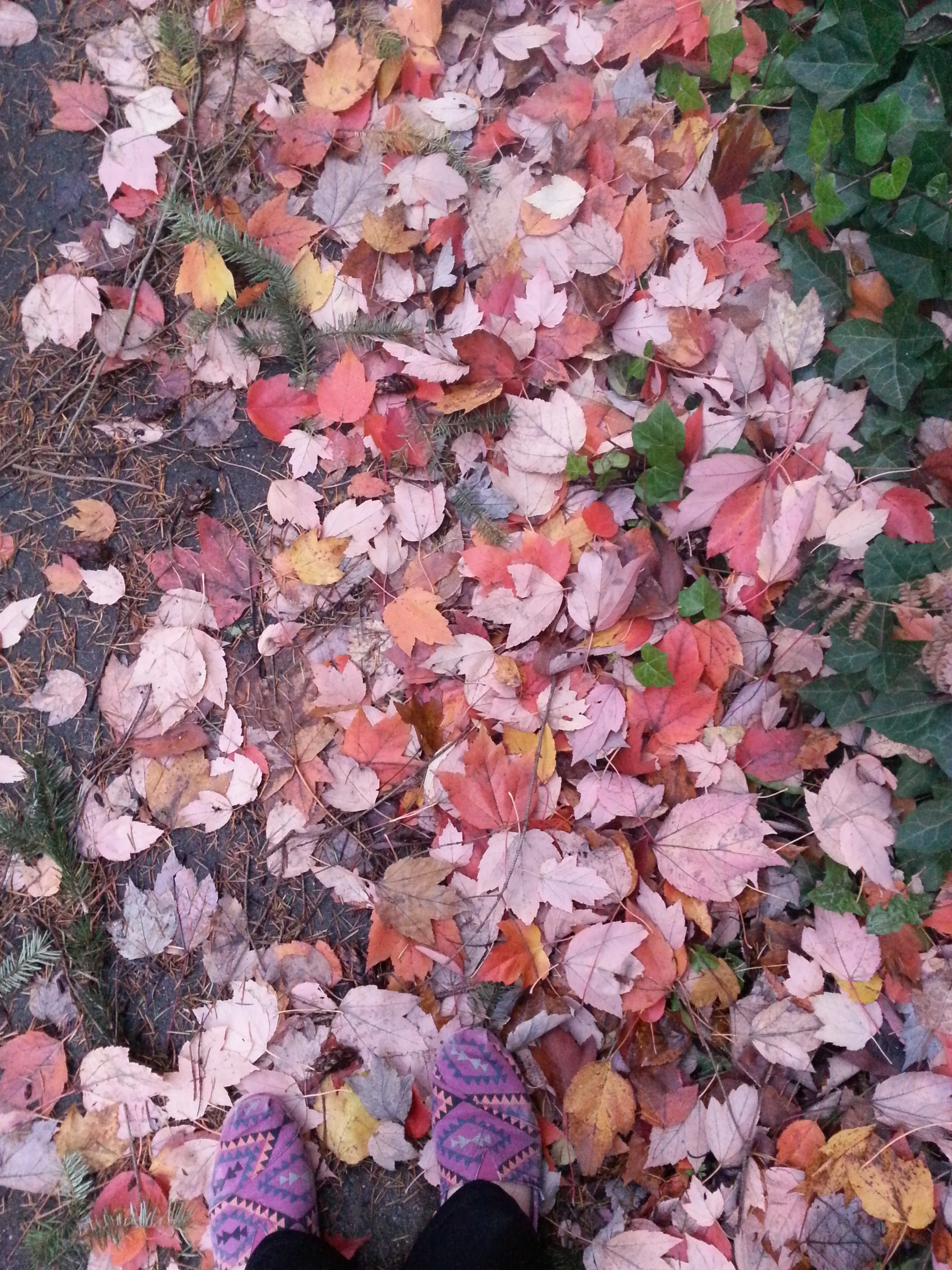 20131110_162918.jpg