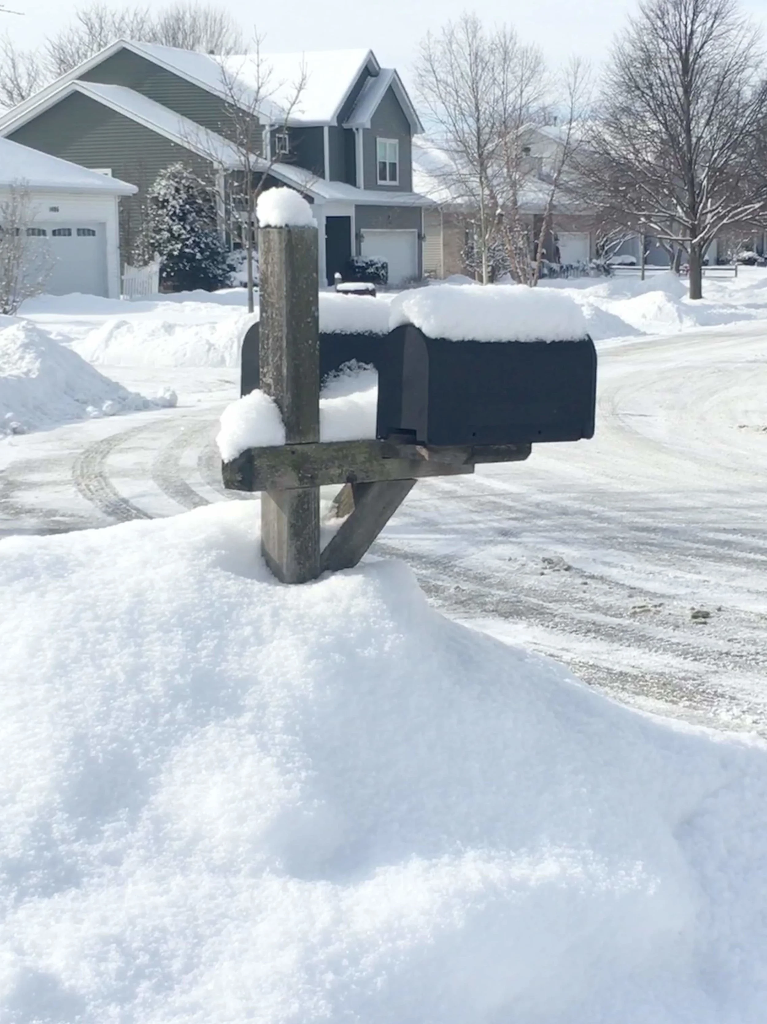 I think the snow had a "buried alive" feel for Carol.