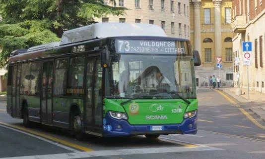 Love sightseeing by public bus