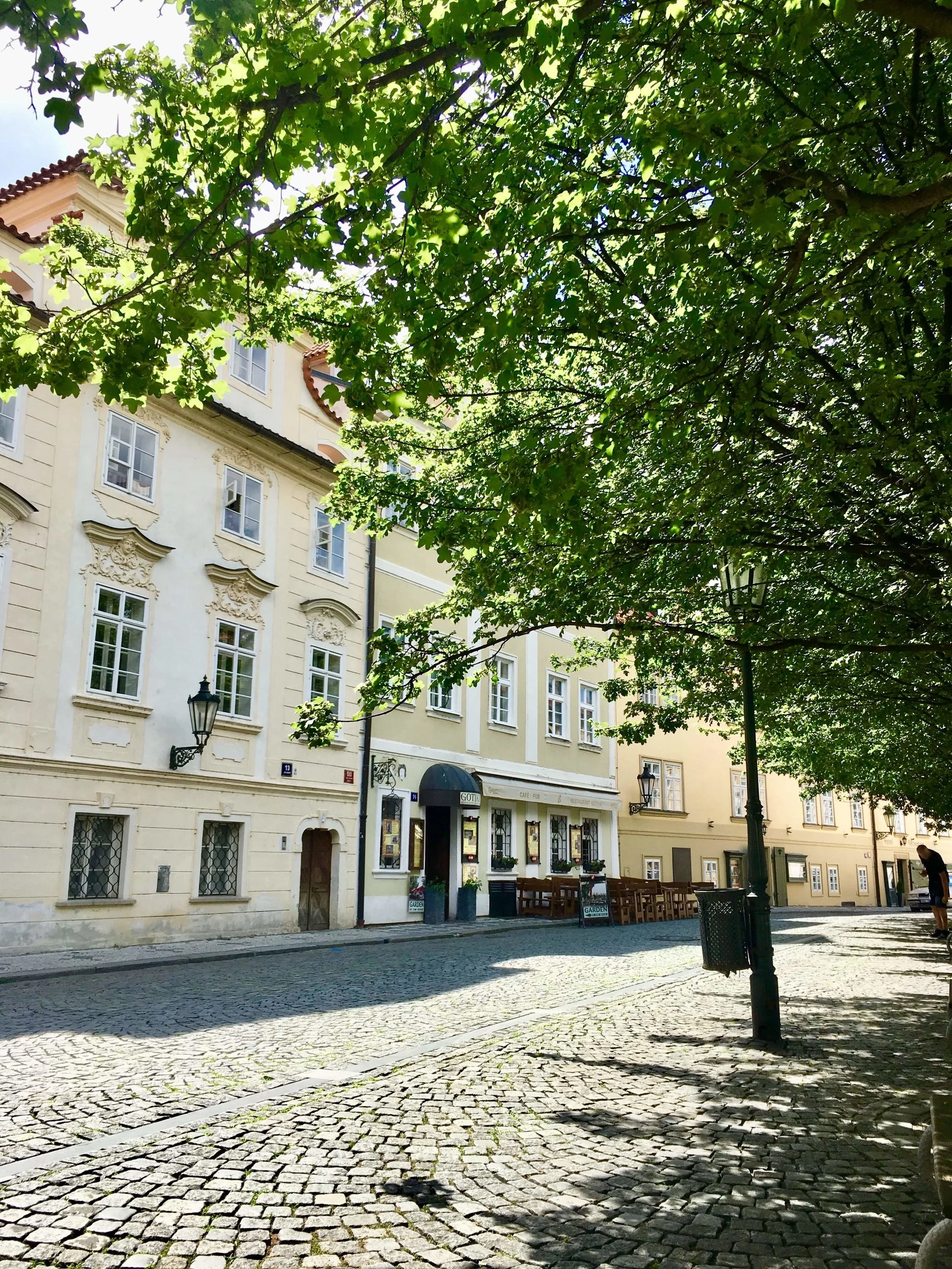 On the cockroach trail to the Kafka museum