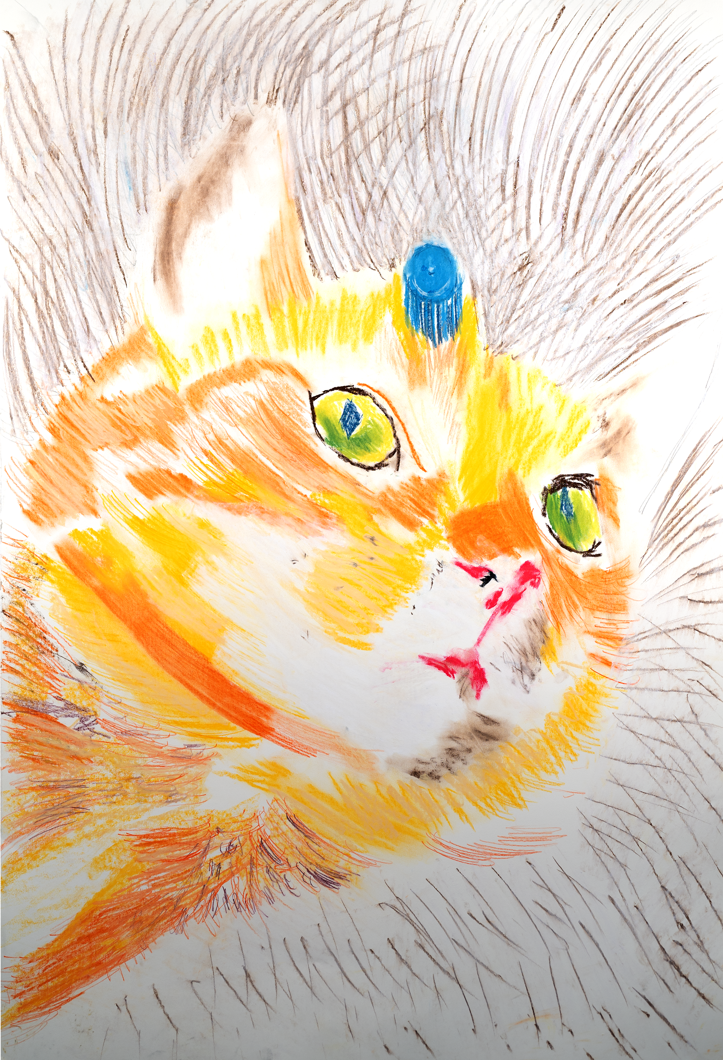 Honey_the_cat 12inx8p18in.png