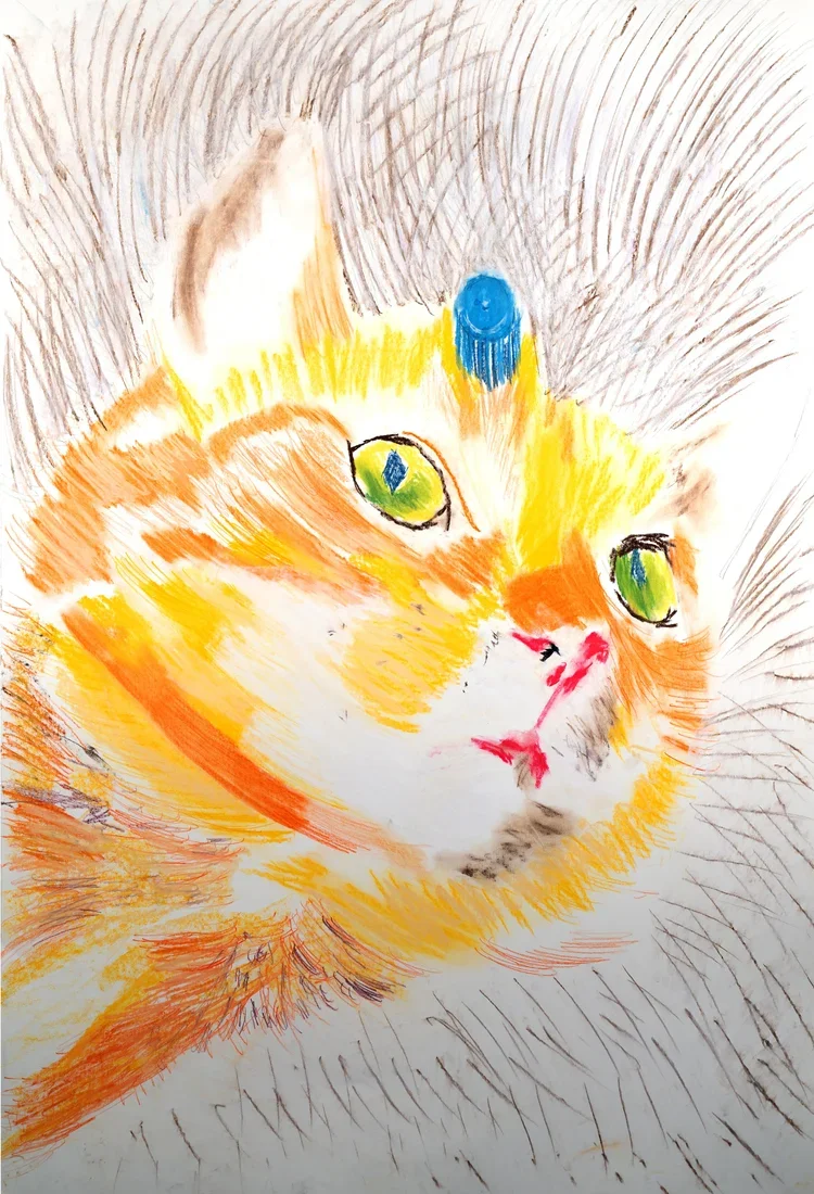 Honey_the_cat+smaller.webp