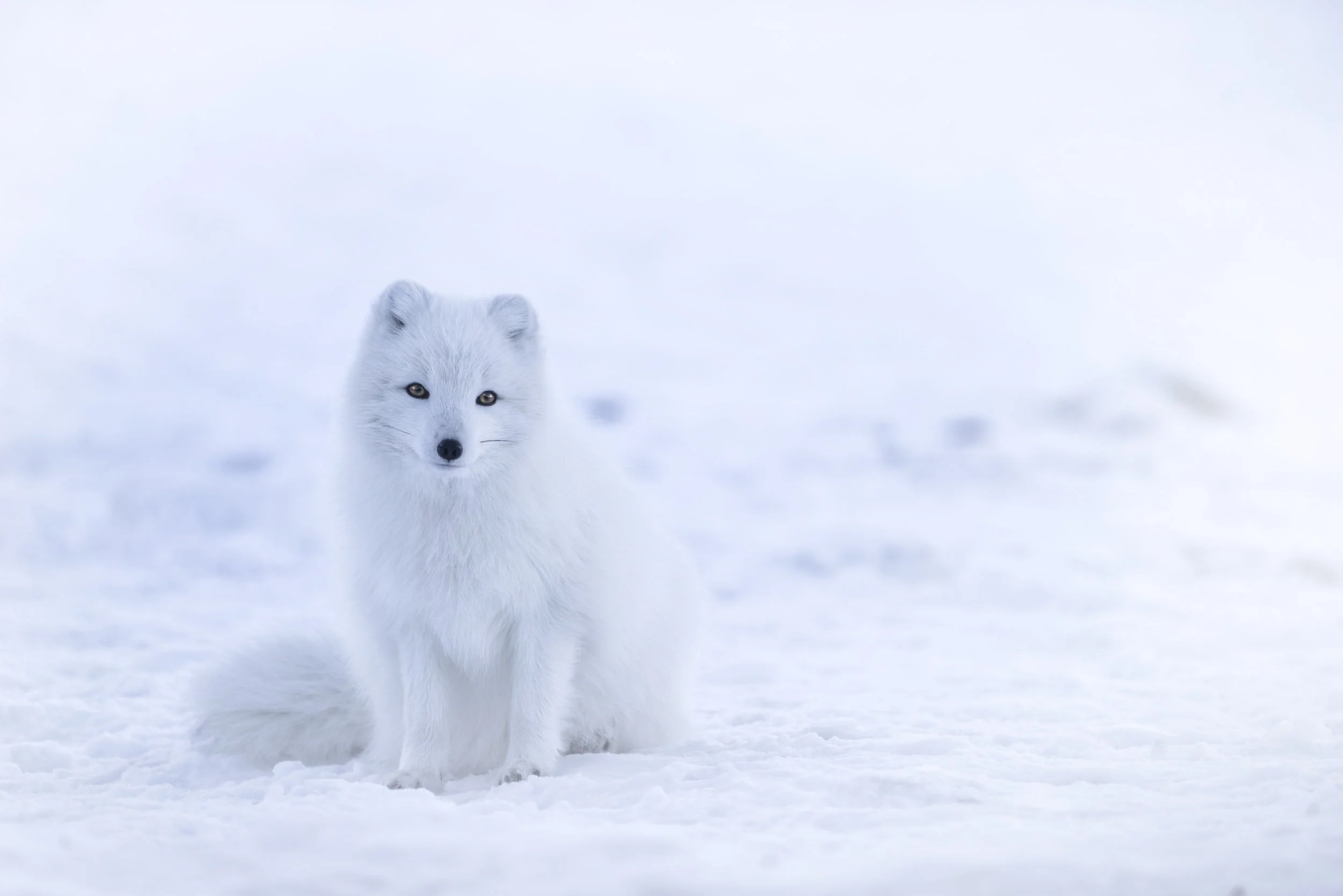Even More Ways to Prepare Your Place for Winter