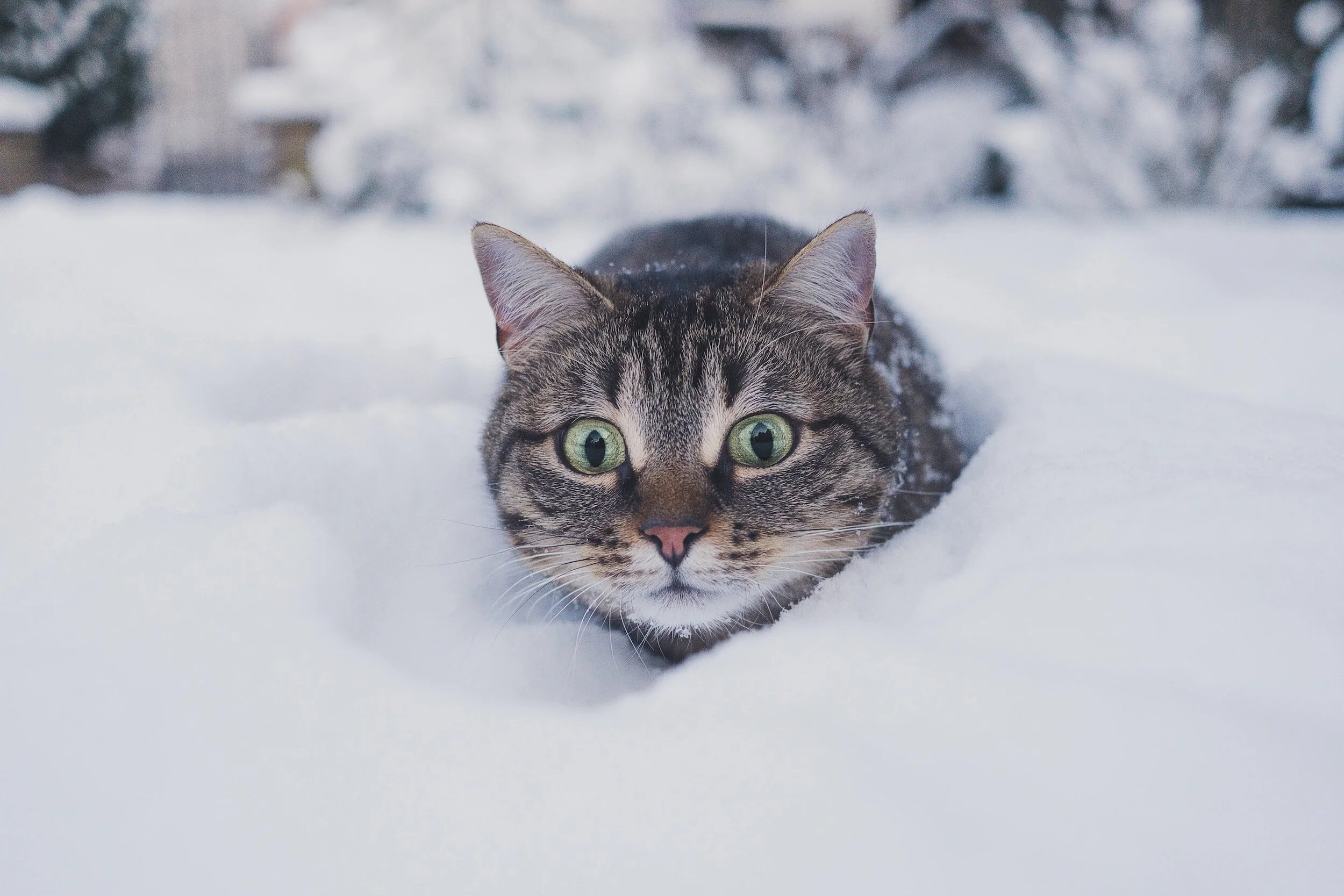Even More Ways to Prepare Your Place for Winter