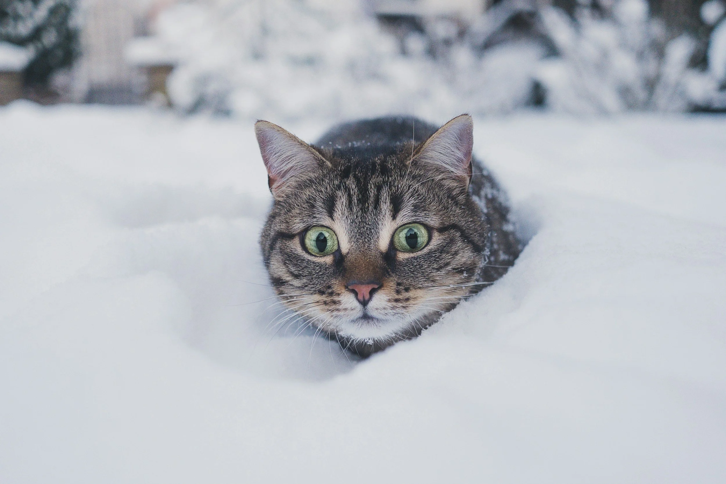 Winter Is Coming! Is Your Rental Ready?