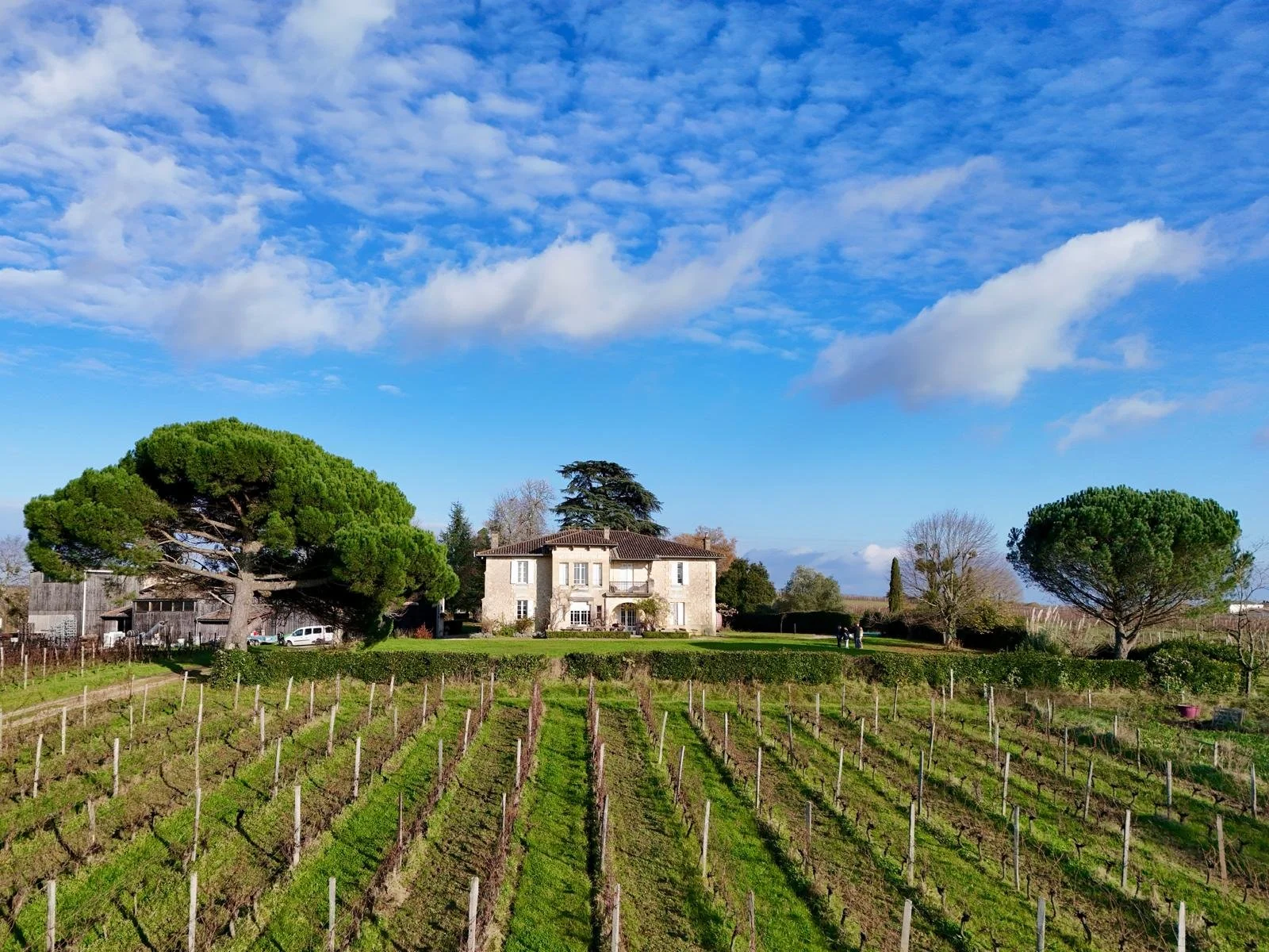 WhatsApp Image 2025-03-19 at 17.34.18.jpeg