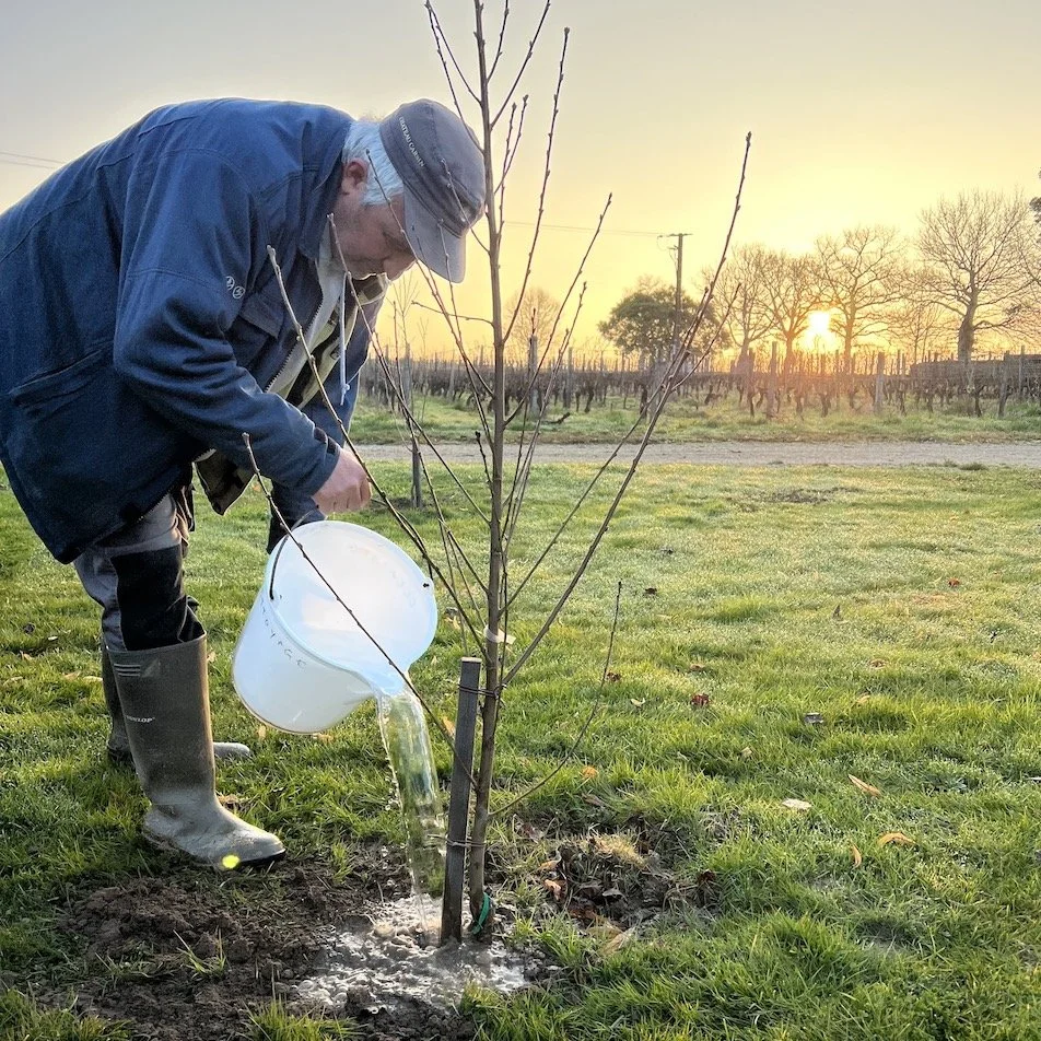 Pascal arosage fruitiers.jpeg