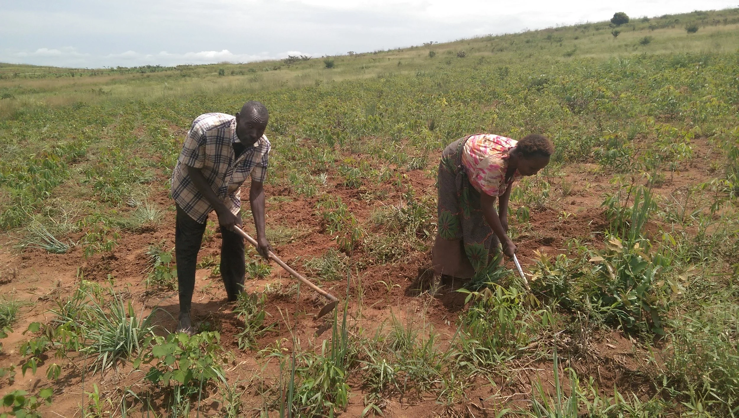 ‘’We are working together because it is the key of our success. ‘’ - A couple from Bondo Kanyinda in the Diocese of Two Kasai