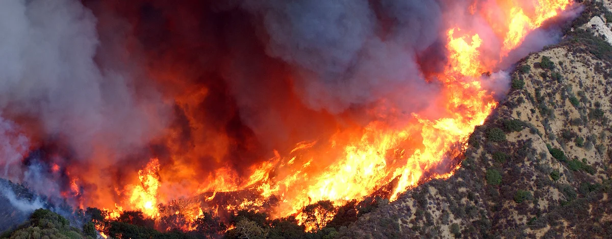 wildfire 2018 web banner_Sm.jpg