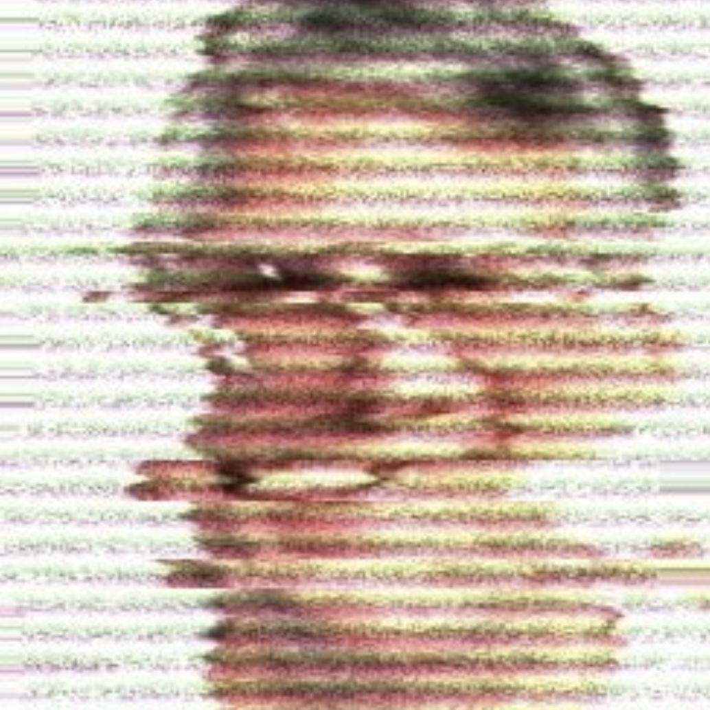 TBA - True Crime Podcast