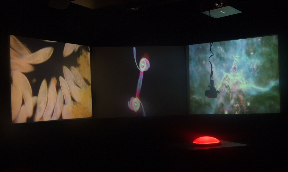 Biorhythm Exhibition, Science Gallery, Dublin, Ireland