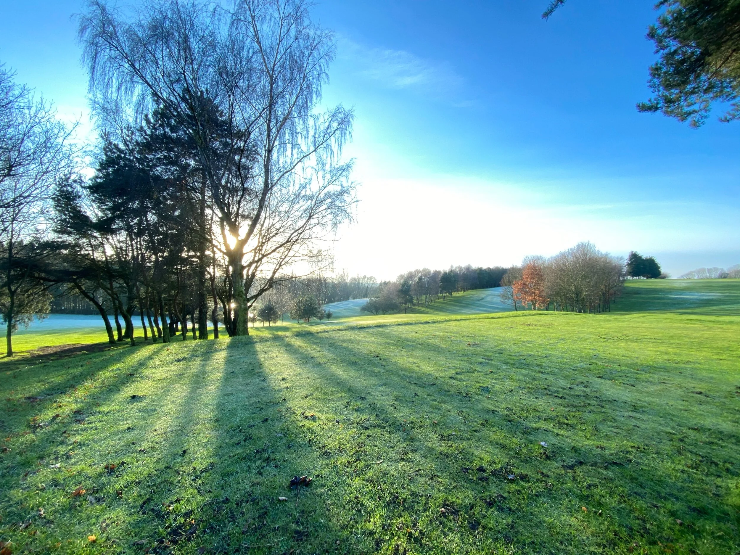 Different perspectives