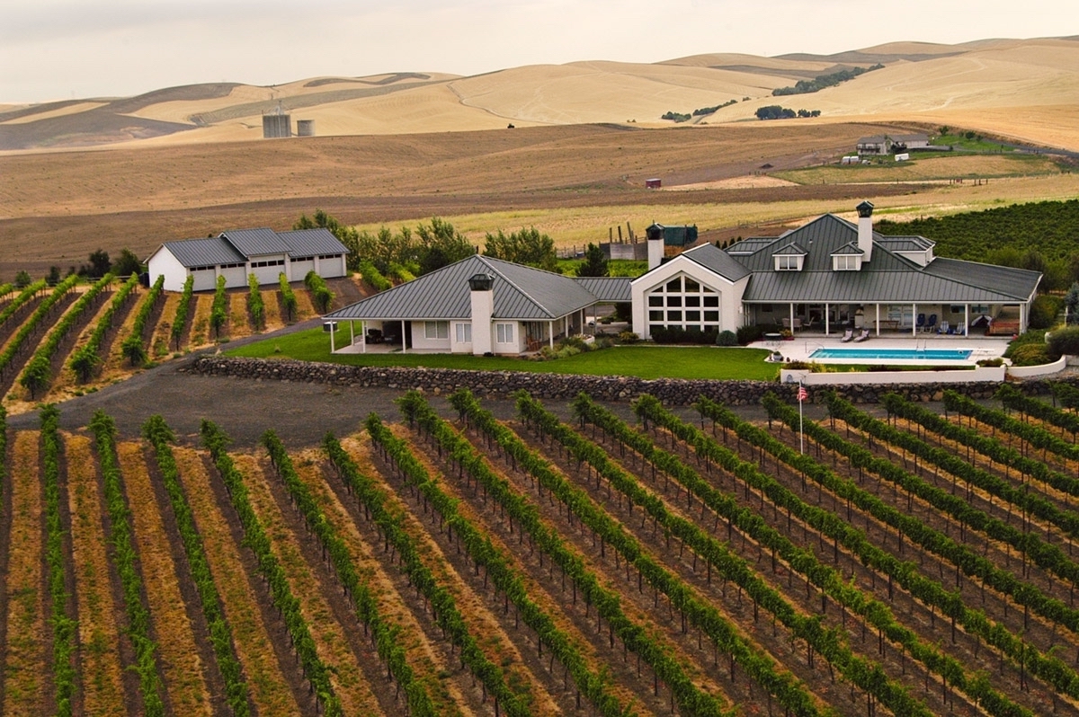 Vineyard Overview Print.jpeg
