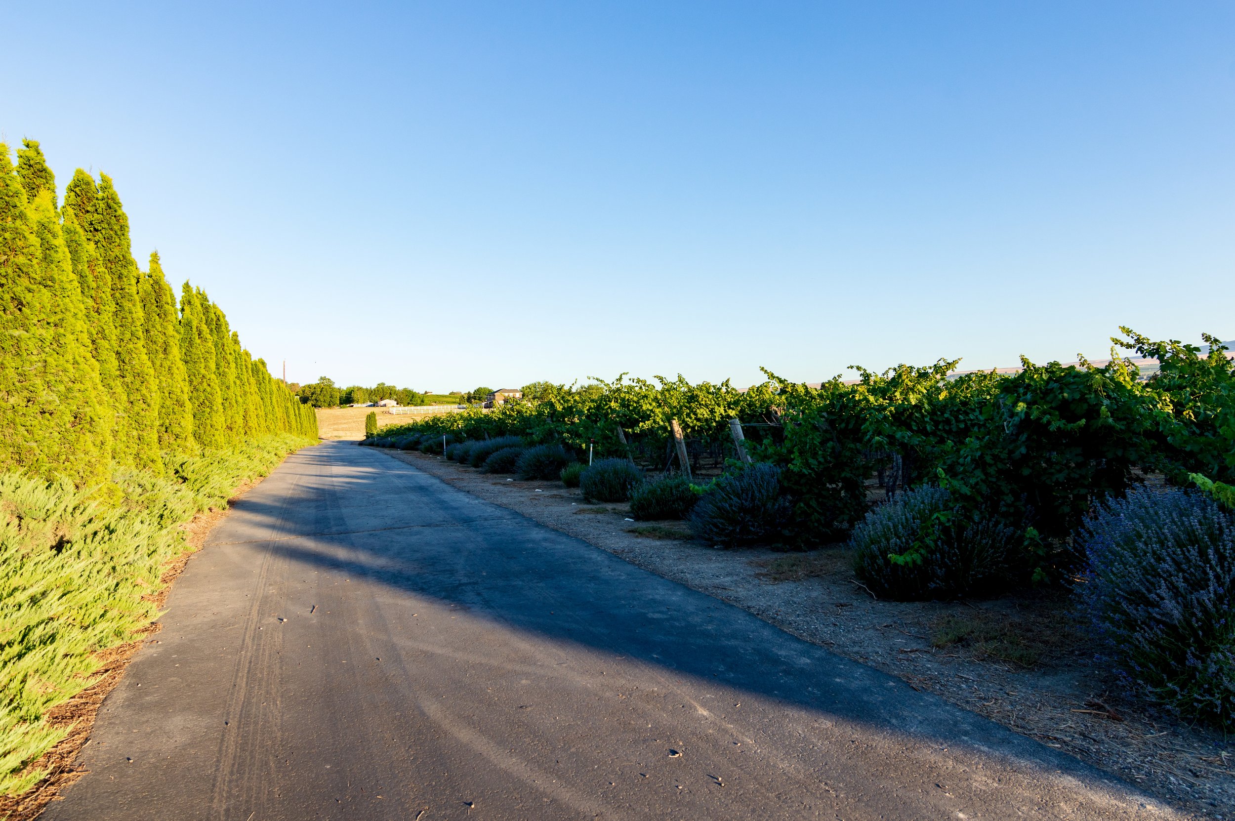 45.Driveway down to road.jpg