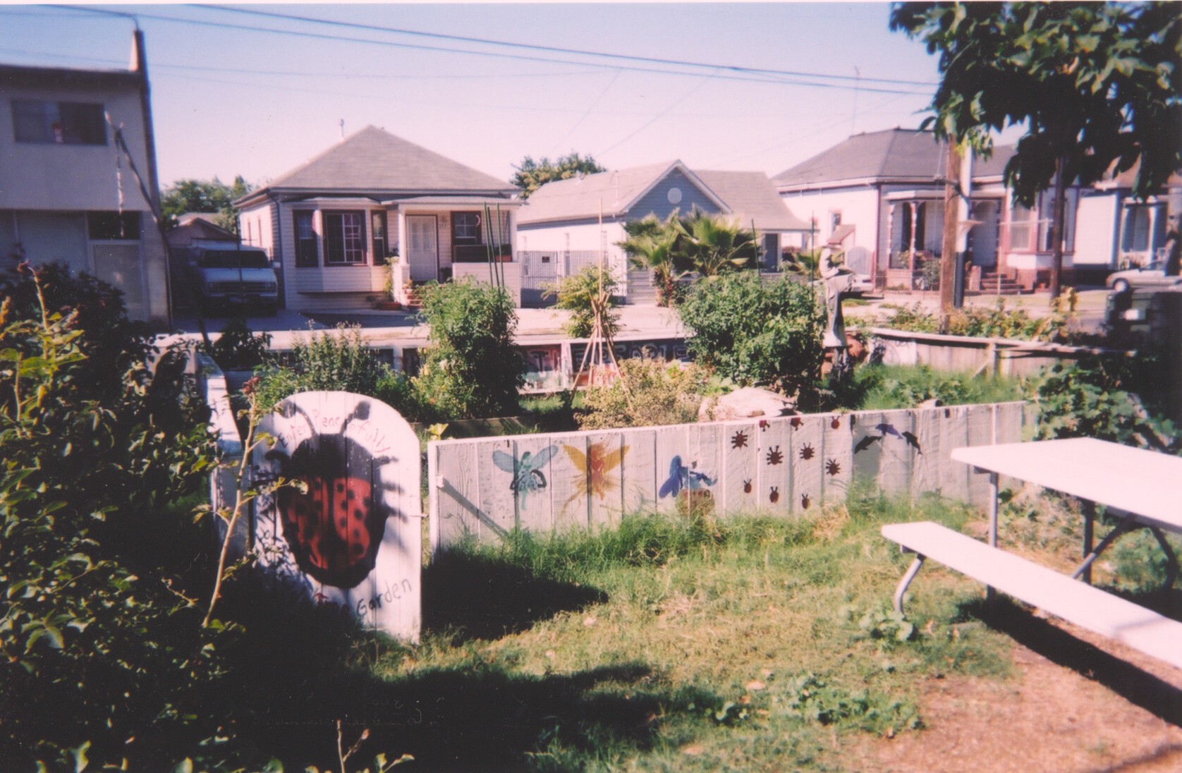 Foundry School -- Garden.jpg