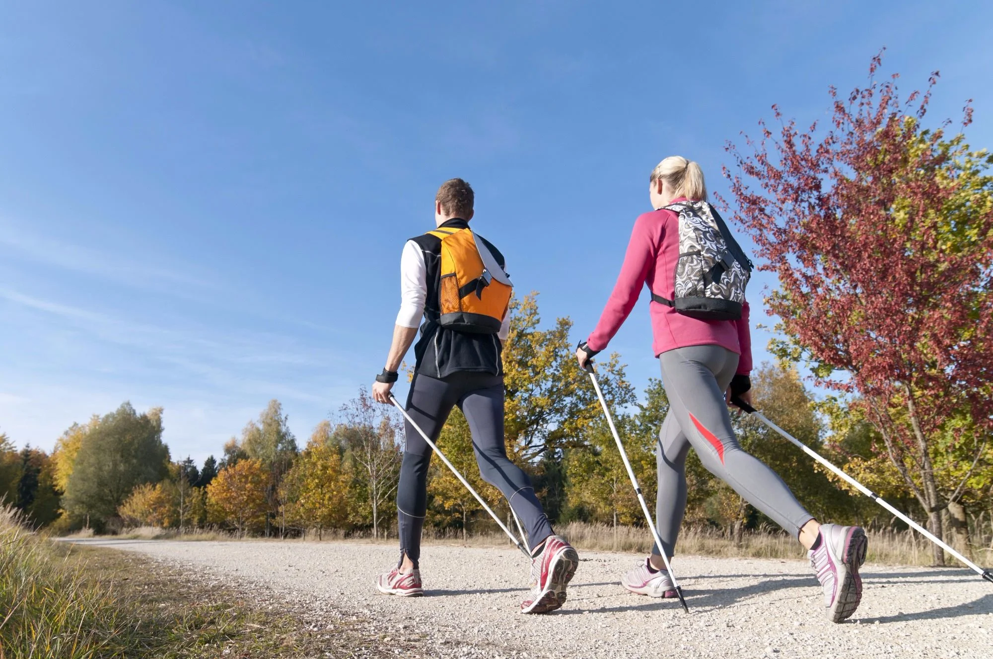 Take on The Nordic Chew Track Challenge