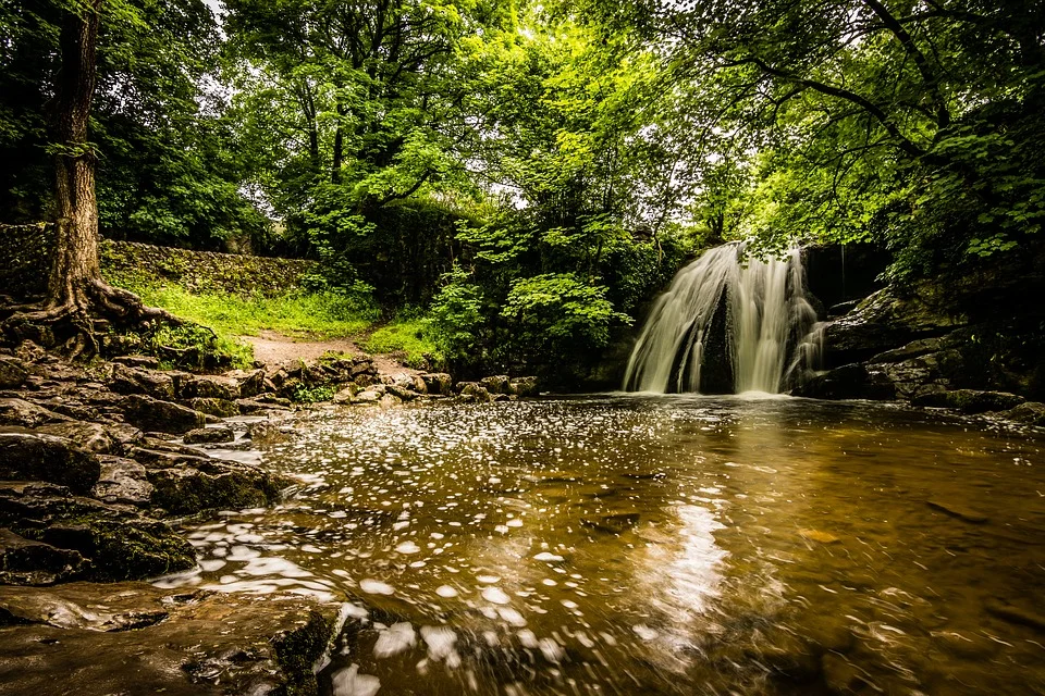 Janet's Foss