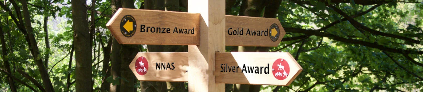 Find your way with NNAS