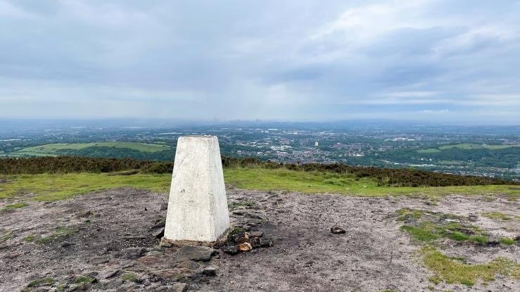 Wild Bank Hill Social Walk