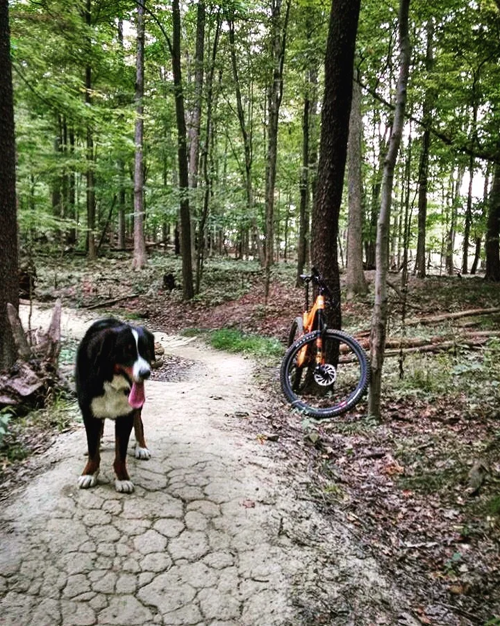 Demo Day with Bike Ohio at Bedford Reservation