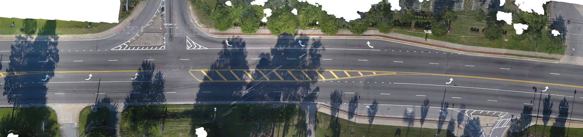 ortho2.jpg