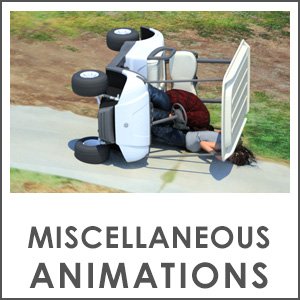 Misc_animations.jpg