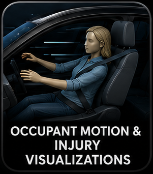 Occupant motion case portfolio