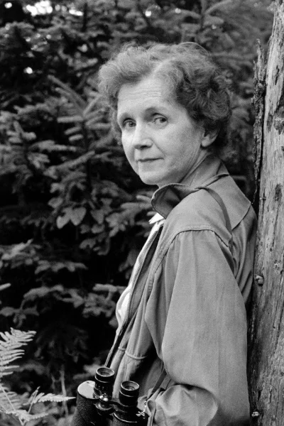 rachel-carson-tree.jpg