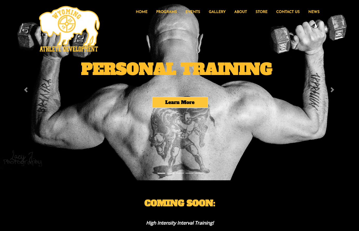 ds_WAD_website.png
