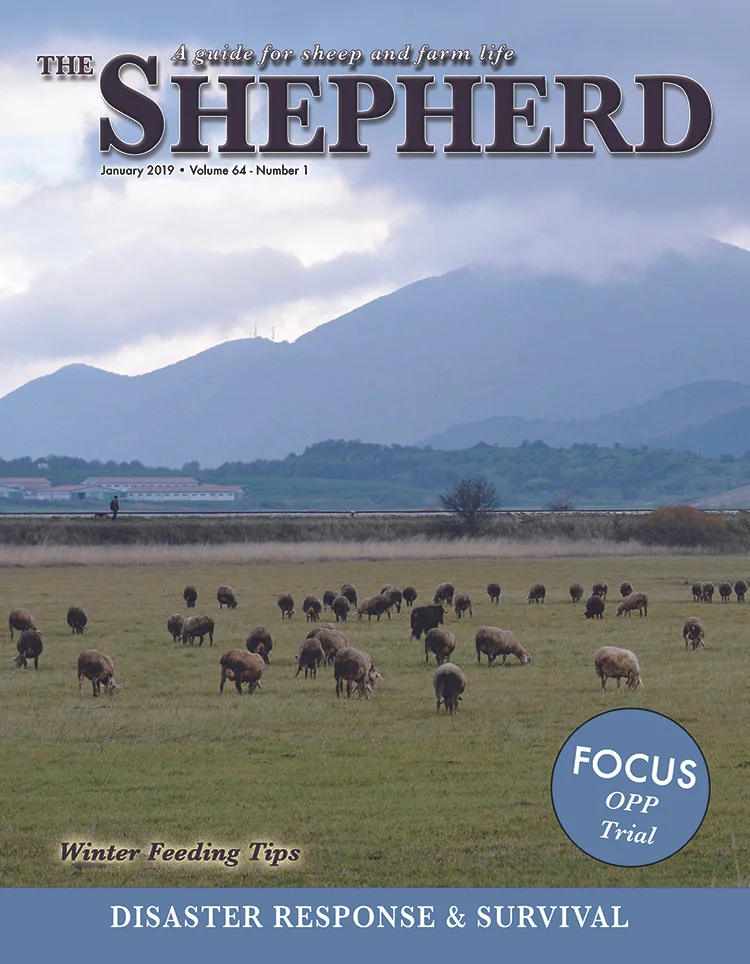Click here to view a recent version of The Shepherd magazine.