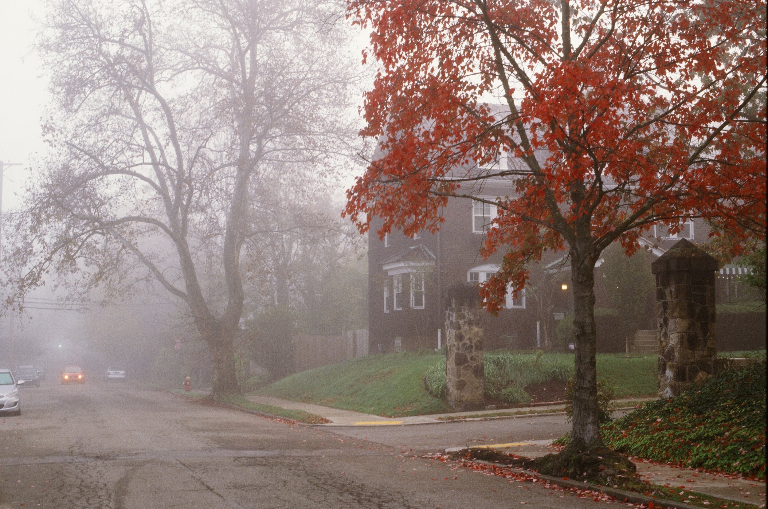  Kodak Ektachrome 100 Canon AE-1 Program 