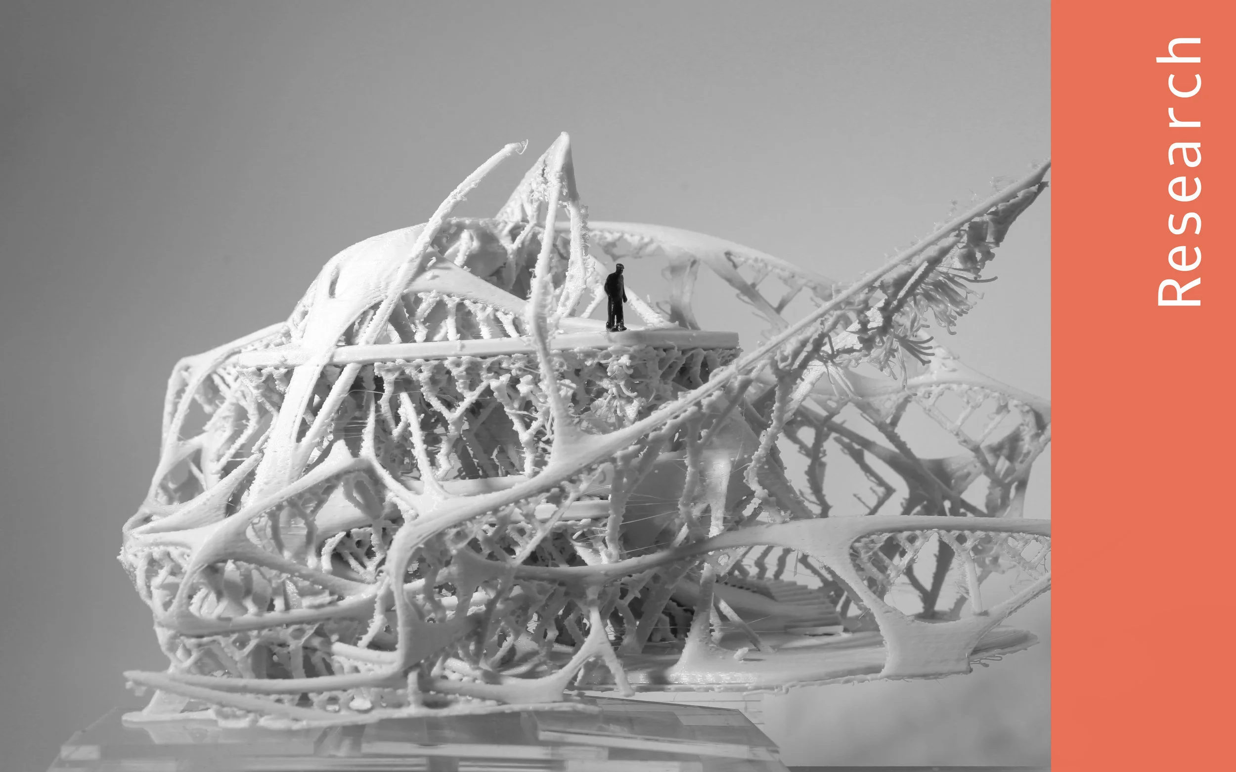 Web_Landscape19.jpg