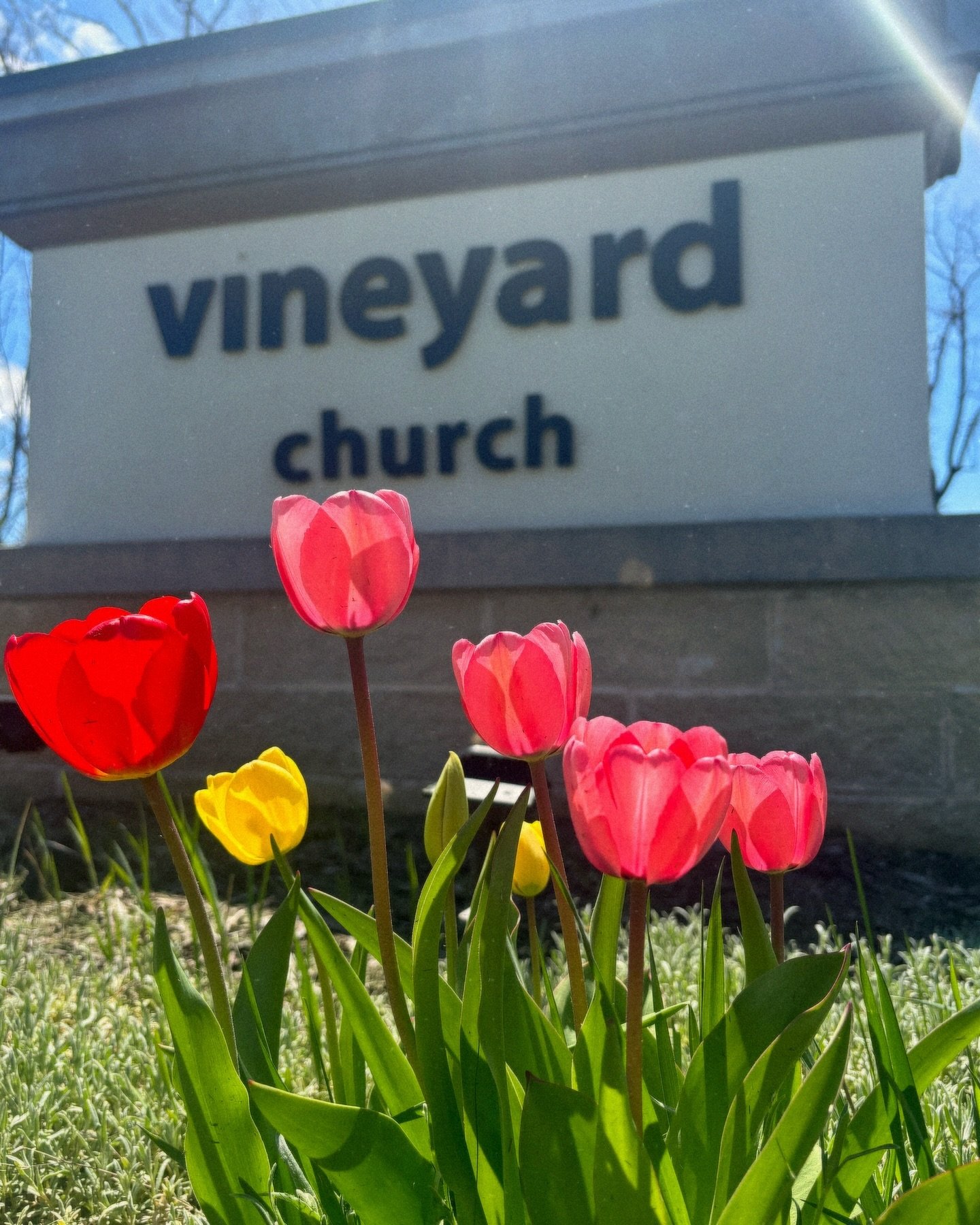 See you at church! 9:30am worship with an amazing potluck to follow! Can't wait to gather on this beautiful morning! 
#vineyardgrafton #lovegodloveothersperiod