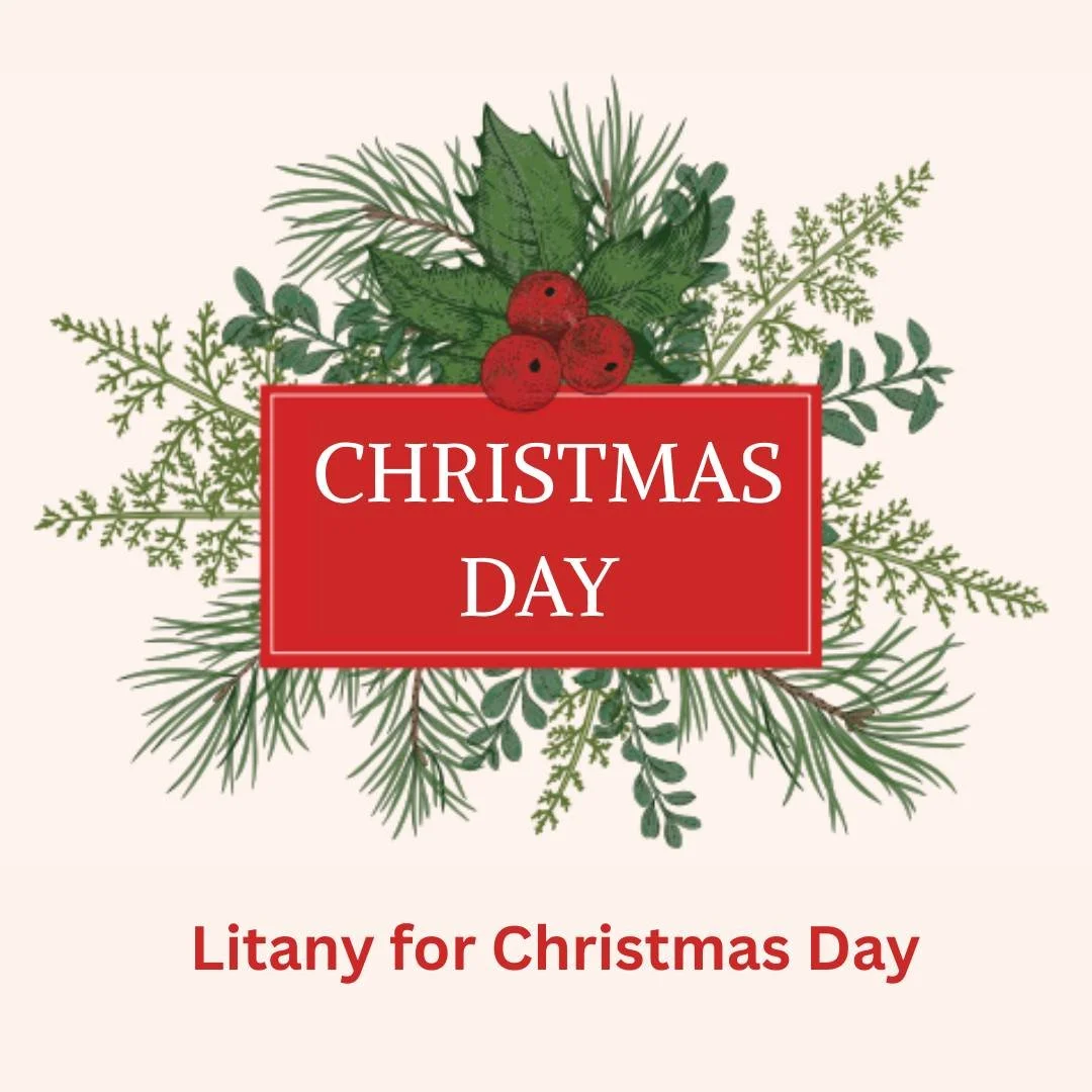 Christmas Day - LITANY

This Advent devotional is designed to give a daily space for connection with God as we prepare for the holy day of Christmas! The team at Vineyard USA has compiled this daily devotional with imagery, songs, scripture, and devo