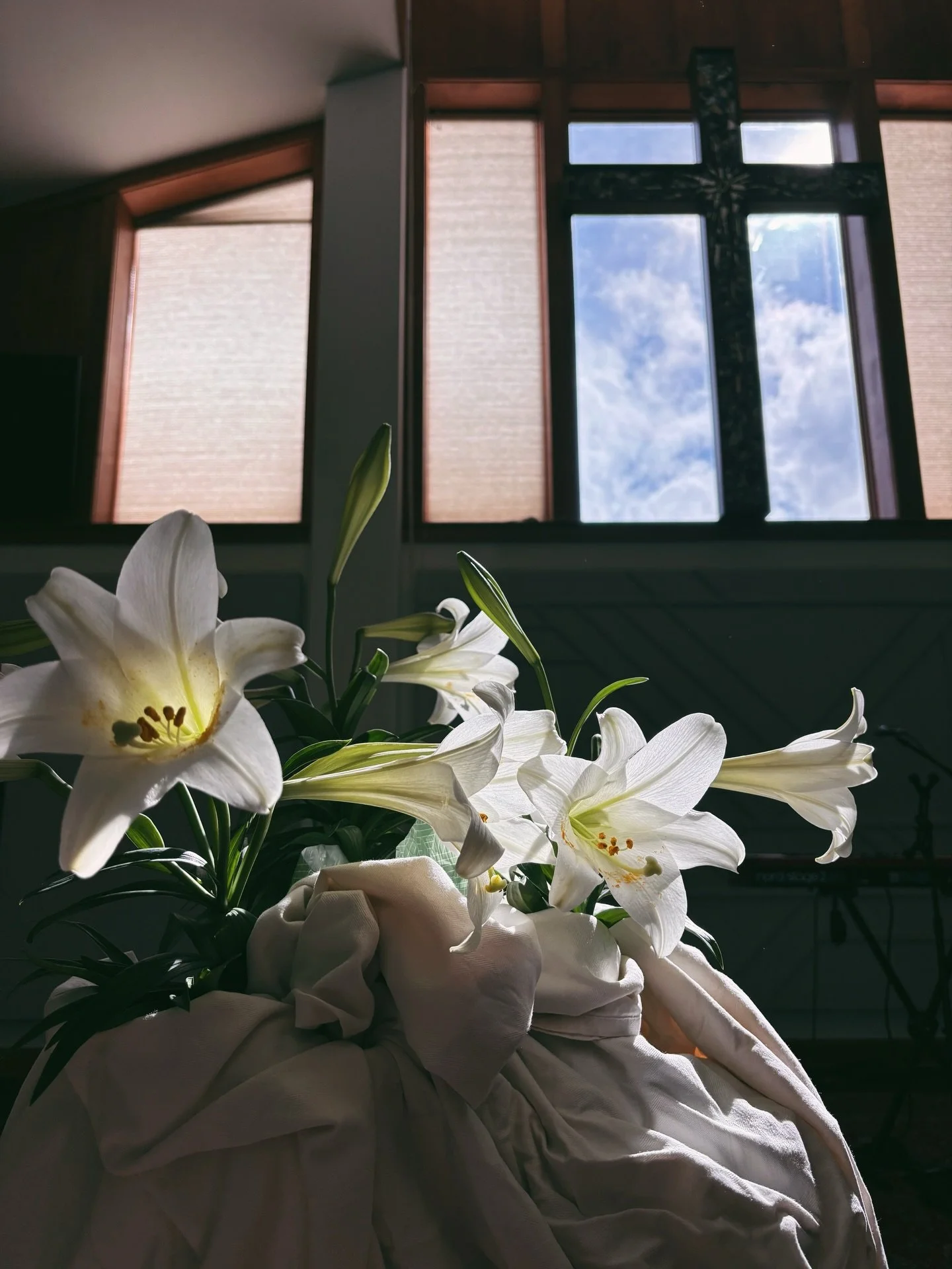 Just as He said!
He is risen, He is risen indeed!
vineyardchurch.co